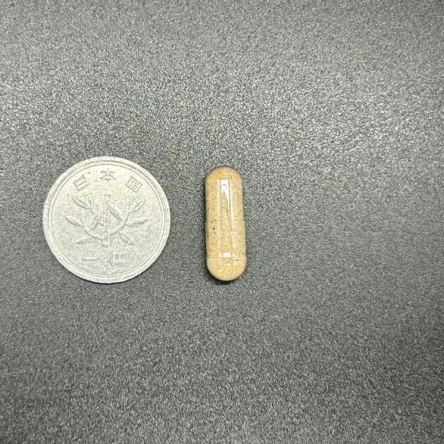 ナイトプロテイン、アナボリックピュアRTBの錠剤の大きさ